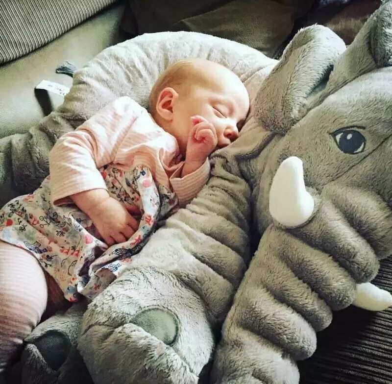 Adorable Elephant Plush Toy Pillow